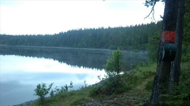 Månedens trimpost juni og månedens trimpost juli